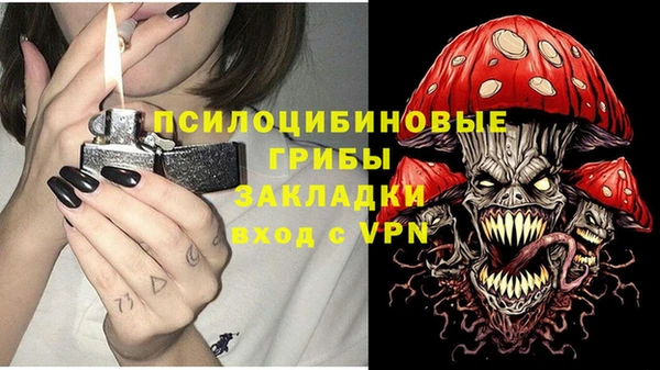 бошки Алзамай