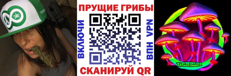 МЕГА ONION Поронайск Галлюциногенные грибы Cubensis продажа наркотиков